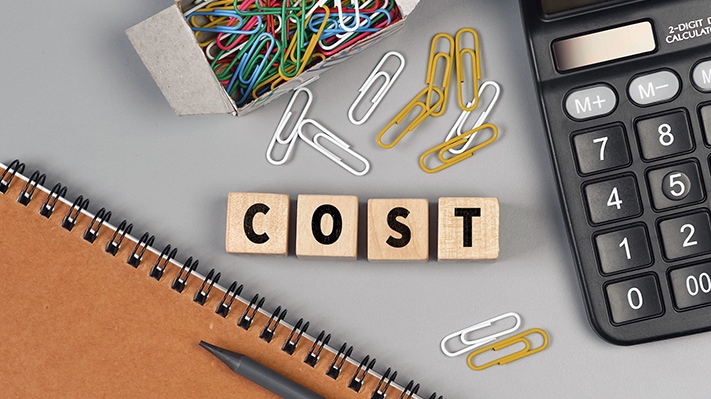 factors to consider while developing cost of website